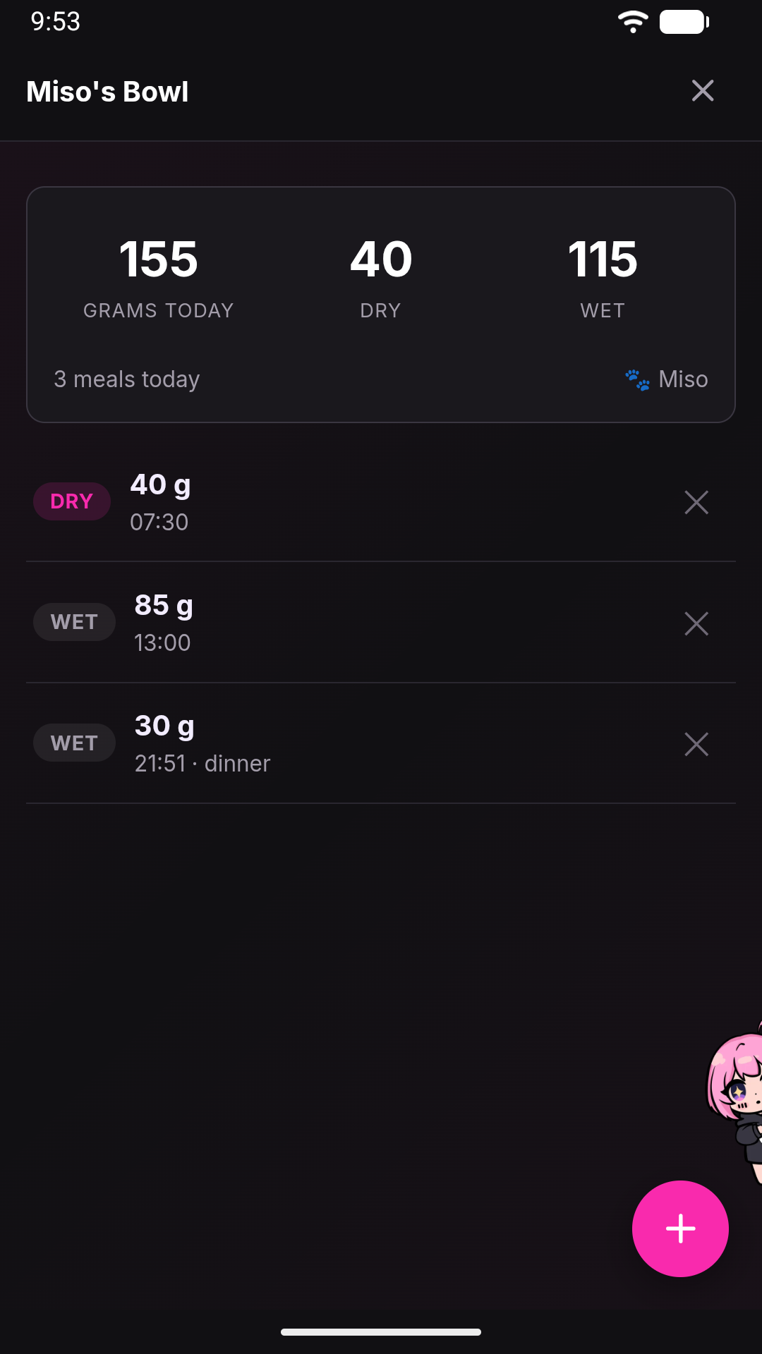 A mini-app Jenny wrote on request: a meal log for a cat, with today's total and the meals